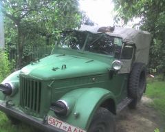 Котяра тоже любит газик