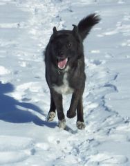 Хан (Кучум), ну очень добрый!