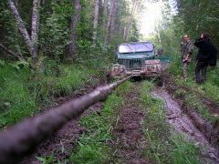 Лебединая песня МАМОНТа