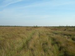 В обратный путь.