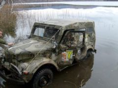 Купание грязного коня