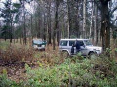 Осеннее утро 2009 г.