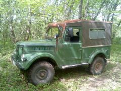 Вот такой Газончик мне достался