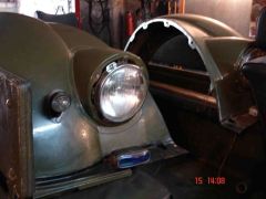 ноги,хвост,...КРЫЛЬЯ !!!