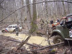 Объезжал севшую ниву.