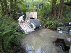 Триколор-трофи