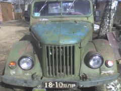 откопали мамонта