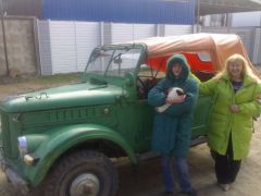 Все счастливы...пока что!