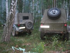 Газоны в лесу - 2