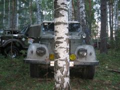 Газоны в лесу