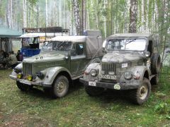 Газоны в лесу