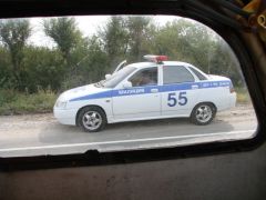 Знакомство с оборотнями