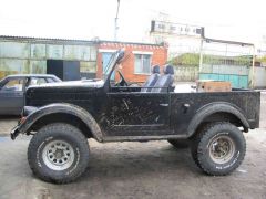 осмотр после очередной лесной прогулки