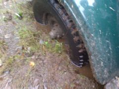 Осень, говны...