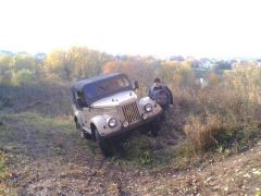 молодой и старый