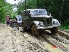 за грибами Северский район