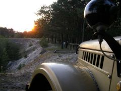 Закат в лесу