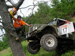 "Гнездование"