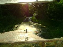 енто ещё цветочки